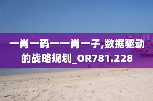 一肖一码一一肖一子,数据驱动的战略规划_OR781.228
