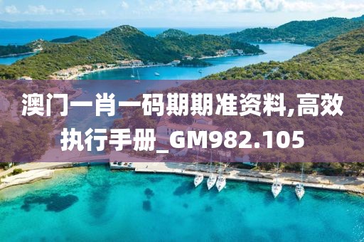 澳门一肖一码期期准资料,高效执行手册_GM982.105