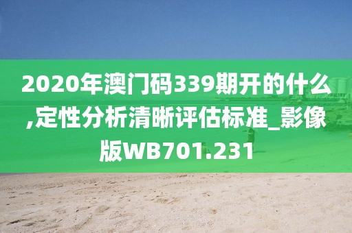 2020年澳门码339期开的什么,定性分析清晰评估标准_影像版WB701.231