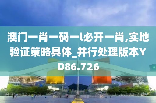 澳门一肖一码一l必开一肖,实地验证策略具体_并行处理版本YD86.726