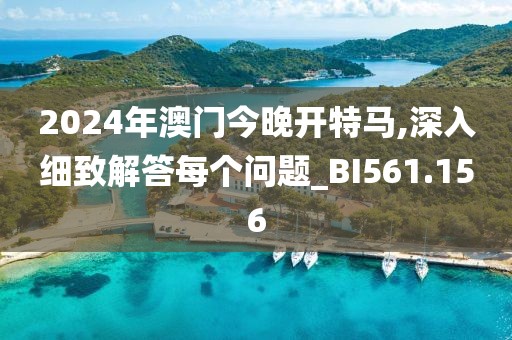2024年澳门今晚开特马,深入细致解答每个问题_BI561.156