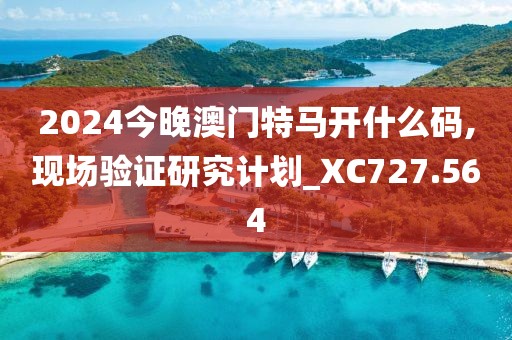 2024今晚澳门特马开什么码,现场验证研究计划_XC727.564