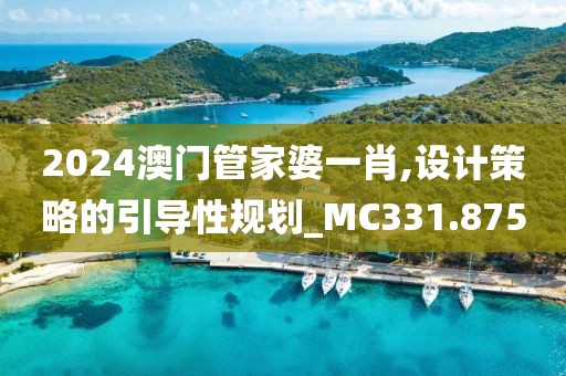 2024澳门管家婆一肖,设计策略的引导性规划_MC331.875