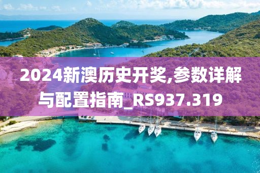 2024新澳历史开奖,参数详解与配置指南_RS937.319