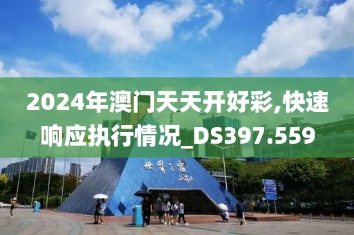 2024年澳门天天开好彩,快速响应执行情况_DS397.559