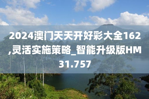 2024澳门天天开好彩大全162,灵活实施策略_智能升级版HM31.757