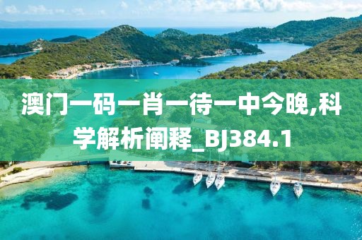 澳门一码一肖一待一中今晚,科学解析阐释_BJ384.1