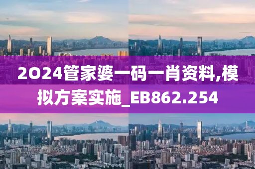2O24管家婆一码一肖资料,模拟方案实施_EB862.254