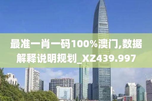 最准一肖一码100%澳门,数据解释说明规划_XZ439.997