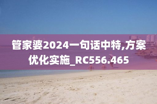 管家婆2024一句话中特,方案优化实施_RC556.465