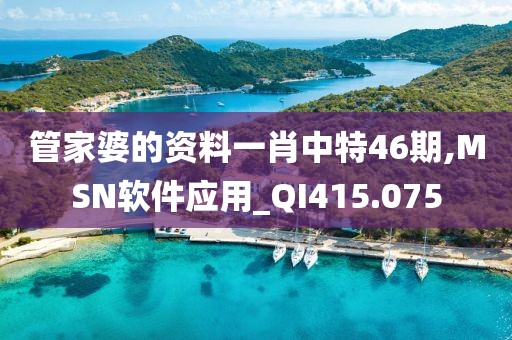 管家婆的资料一肖中特46期,MSN软件应用_QI415.075