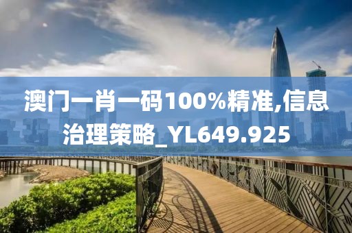 澳门一肖一码100%精准,信息治理策略_YL649.925