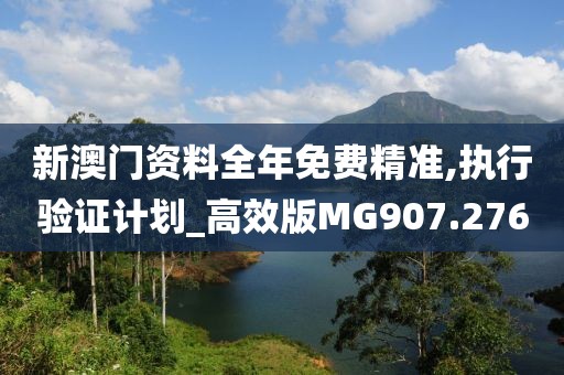 新澳门资料全年免费精准,执行验证计划_高效版MG907.276