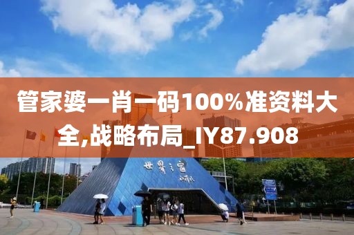 管家婆一肖一码100%准资料大全,战略布局_IY87.908