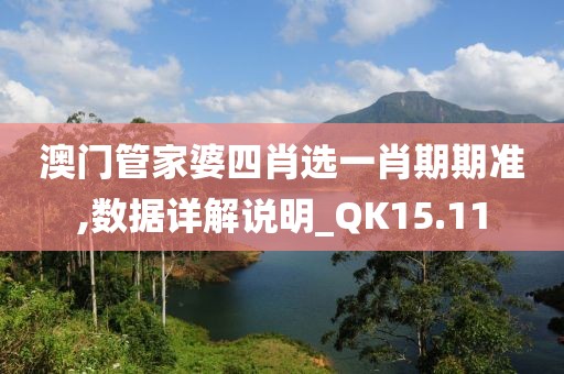 澳门管家婆四肖选一肖期期准,数据详解说明_QK15.11