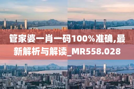管家婆一肖一码100%准确,最新解析与解读_MR558.028