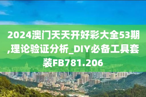 2024澳门天天开好彩大全53期,理论验证分析_DIY必备工具套装FB781.206