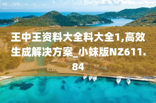 王中王资料大全料大全1,高效生成解决方案_小妹版NZ611.84