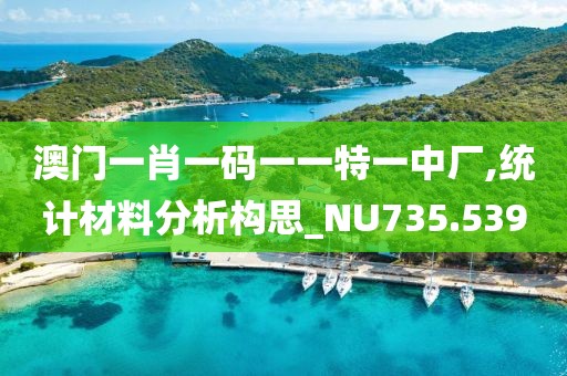 澳门一肖一码一一特一中厂,统计材料分析构思_NU735.539
