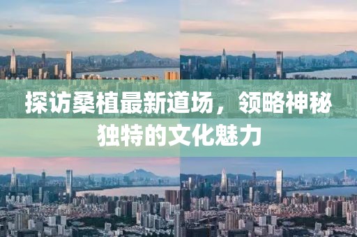探访桑植最新道场，领略神秘独特的文化魅力