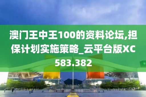 澳门王中王100的资料论坛,担保计划实施策略_云平台版XC583.382