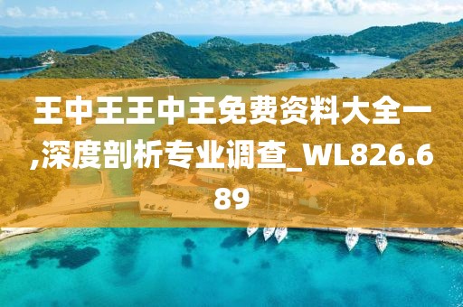 王中王王中王免费资料大全一,深度剖析专业调查_WL826.689