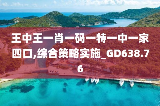 王中王一肖一码一特一中一家四口,综合策略实施_GD638.76