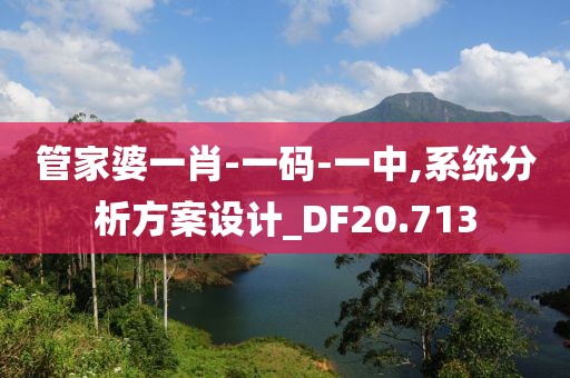 管家婆一肖-一码-一中,系统分析方案设计_DF20.713