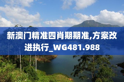 新澳门精准四肖期期准,方案改进执行_WG481.988