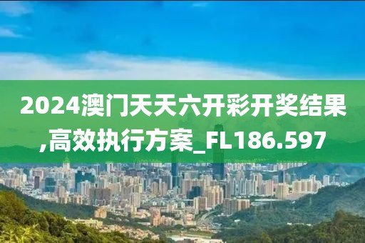 2024澳门天天六开彩开奖结果,高效执行方案_FL186.597
