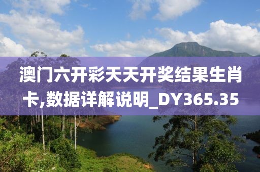 澳门六开彩天天开奖结果生肖卡,数据详解说明_DY365.35