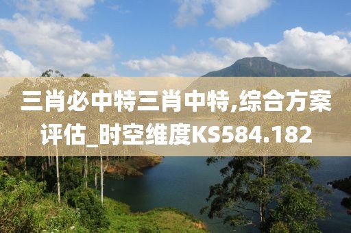 三肖必中特三肖中特,综合方案评估_时空维度KS584.182