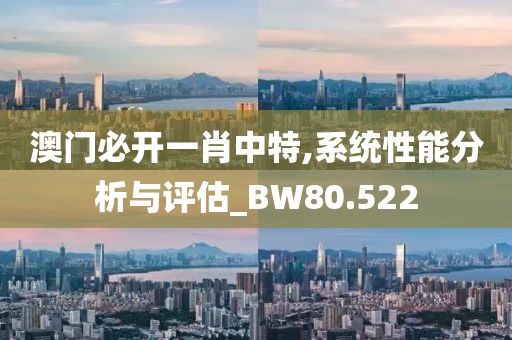 澳门必开一肖中特,系统性能分析与评估_BW80.522