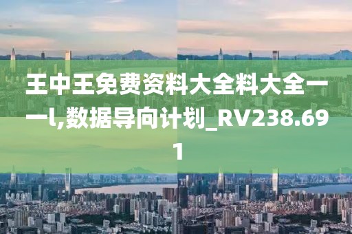 王中王免费资料大全料大全一一l,数据导向计划_RV238.691