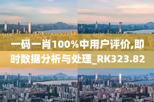 一码一肖100%中用户评价,即时数据分析与处理_RK323.82
