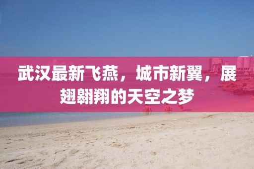 武汉最新飞燕，城市新翼，展翅翱翔的天空之梦