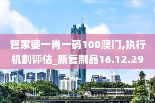 管家婆一肖一码100澳门,执行机制评估_新复制品16.12.29