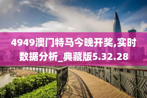 4949澳门特马今晚开奖,实时数据分析_典藏版5.32.28