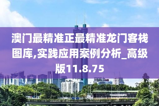 澳门最精准正最精准龙门客栈图库,实践应用案例分析_高级版11.8.75