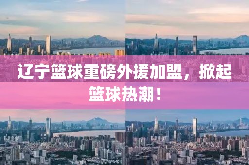辽宁篮球重磅外援加盟，掀起篮球热潮！