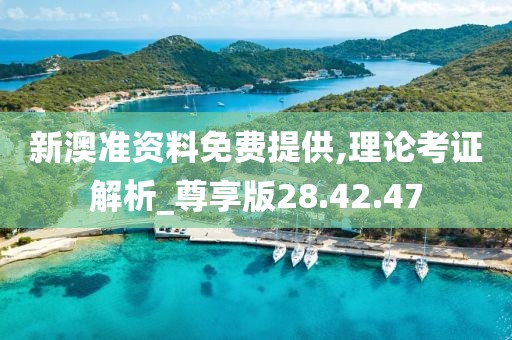 新澳准资料免费提供,理论考证解析_尊享版28.42.47