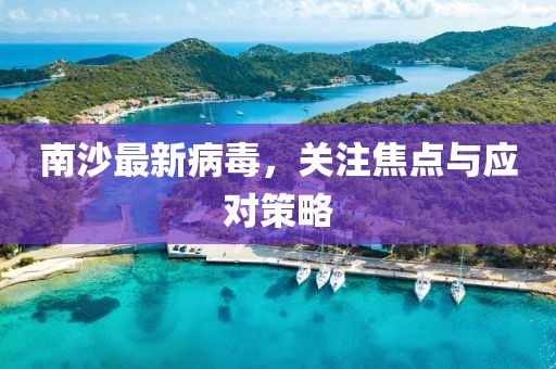 南沙最新病毒，关注焦点与应对策略