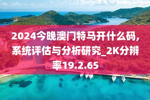 2024今晚澳门特马开什么码,系统评估与分析研究_2K分辨率19.2.65