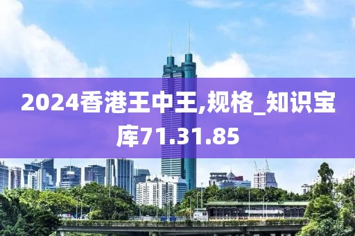 2024香港王中王,规格_知识宝库71.31.85