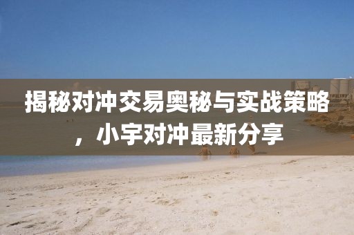 揭秘对冲交易奥秘与实战策略，小宇对冲最新分享
