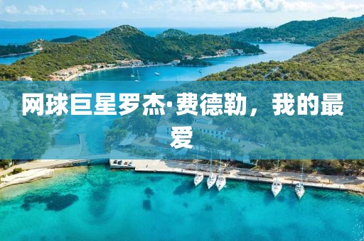 网球巨星罗杰·费德勒，我的最爱