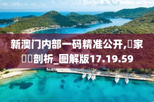 新澳门内部一码精准公开,專家觀點剖析_图解版17.19.59
