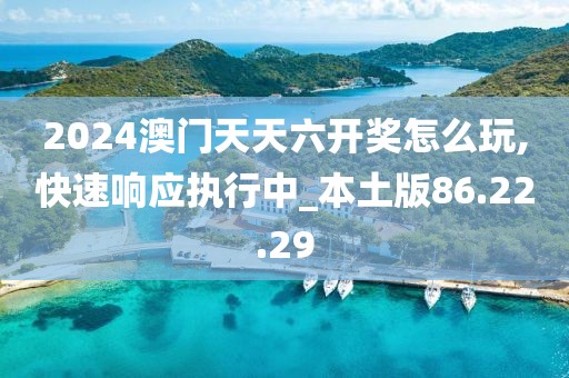 2024澳门天天六开奖怎么玩,快速响应执行中_本土版86.22.29