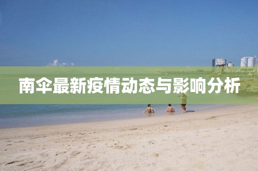 南伞最新疫情动态与影响分析