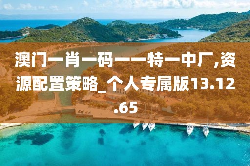 澳门一肖一码一一特一中厂,资源配置策略_个人专属版13.12.65